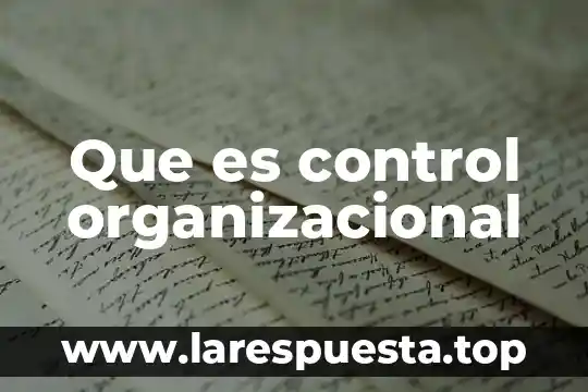 Que es auxiliar de control vehicular 6 Que es control organizacional