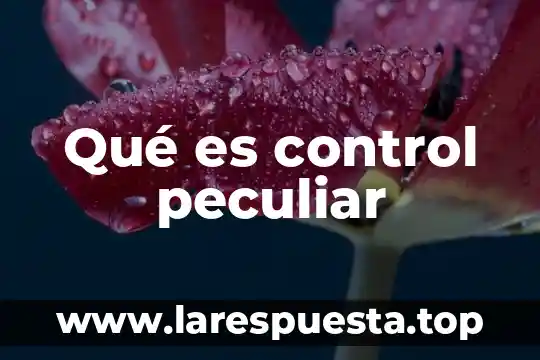 Que es un control compensatorio 3 Qué es control peculiar