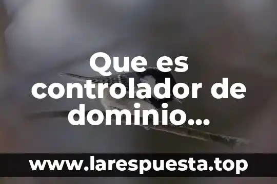 Que es el grupo primario y secundario 7 Que es controlador de dominio secundario
