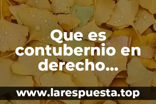Concepto de que es el derecho romano 5 Que es contubernio en derecho romano