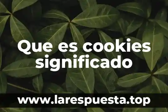 Que es cookies significado