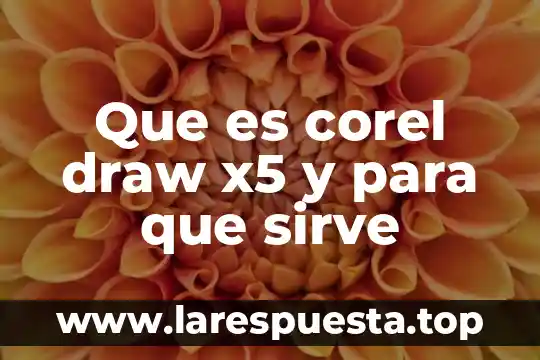 Que es corel draw x5 y para que sirve