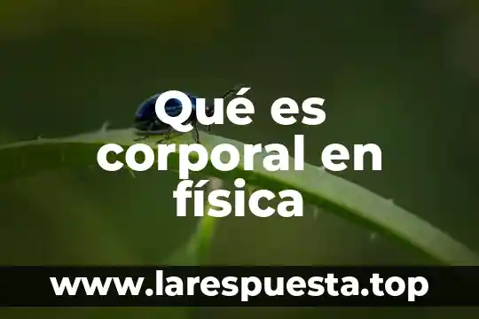 Índice masa corporal que es 6 Qué es corporal en física