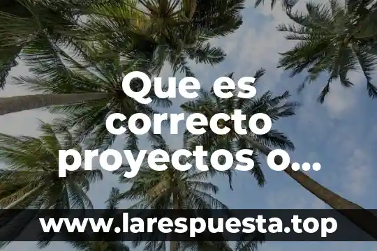 Que es maquinaria y equipamiento para proyectos innovadores empresariales 8 Que es correcto proyectos o cañon