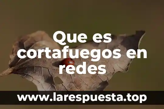 Qué es bicsi en redes 7 Que es cortafuegos en redes