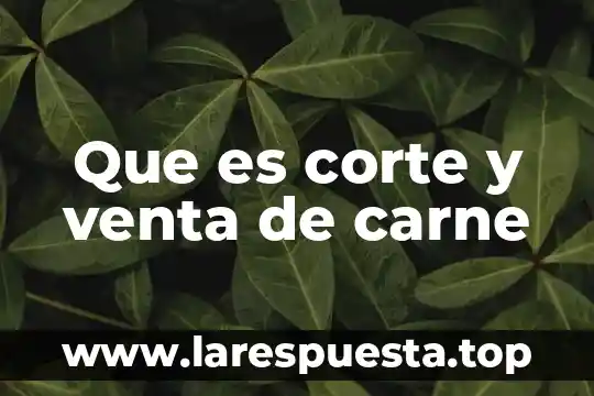 Corte ultrasonido que es 6 Que es corte y venta de carne