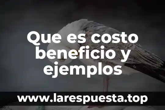 Que es un beneficio cultural 5 Que es costo beneficio y ejemplos