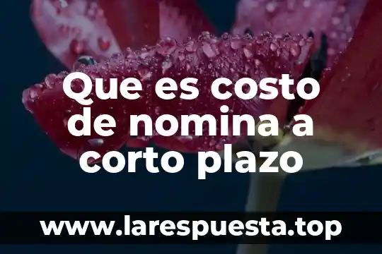 Que es la deuda publica a corto plazo 3 Que es costo de nomina a corto plazo
