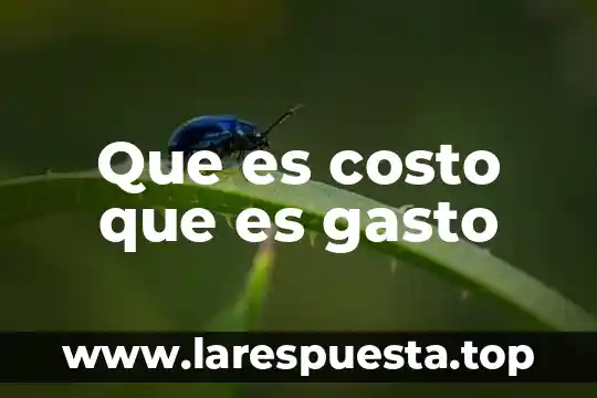 Qué es un costo y qué es un gasto 3 Que es costo que es gasto
