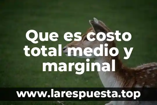 Que es el metodo marginal o variable 5 Que es costo total medio y marginal