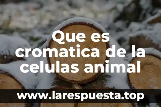 Que es cromatica de la celulas animal