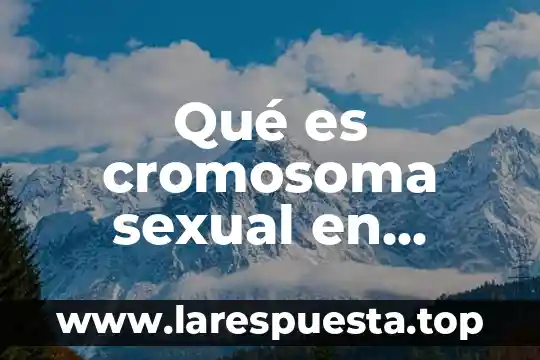 Que es el examen objetivo 8 Qué es cromosoma sexual en biología