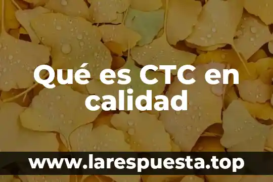 Que es la calidad japonesa 3 Qué es CTC en calidad