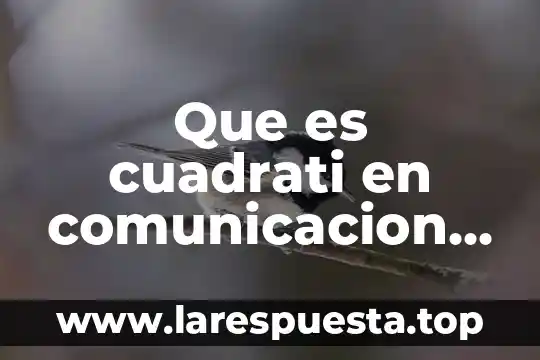 Que es el status quo comunicacion 7 Que es cuadrati en comunicacion grafica