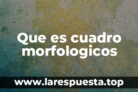Que es escena y cuadro en las obras de teatro 3 Que es cuadro morfologicos