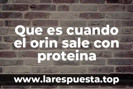 Que es cuando el orin sale con proteina