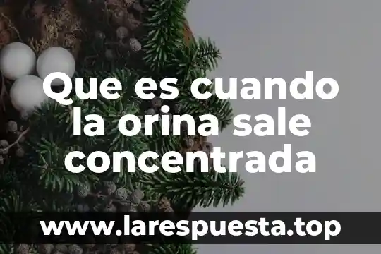Que es el goteo y salida de orina 8 Que es cuando la orina sale concentrada