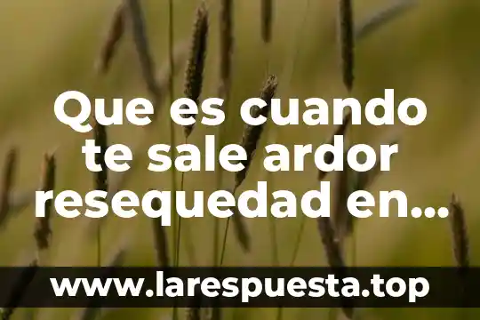 Que es lo que mas te divierte 7 Que es cuando te sale ardor resequedad en la mano