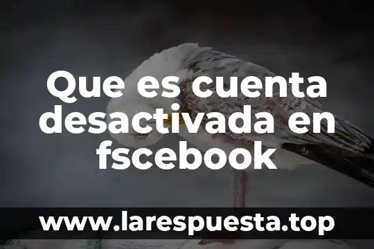 Que es una cuenta offshore 8 Que es cuenta desactivada en fscebook