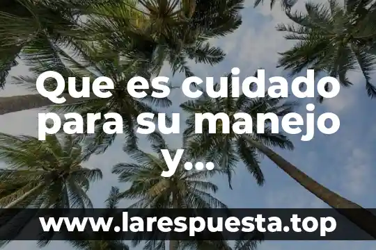 Manejo del proceso administrativo que es 4 Que es cuidado para su manejo y administracion