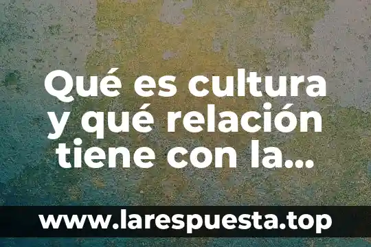 Que es relación de columnas y ejemplos 7 Qué es cultura y qué relación tiene con la literatura