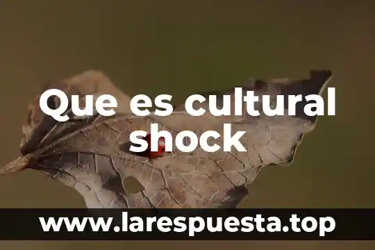 Que es cultural shock