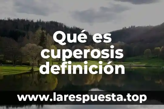 Que es resiliencia definicion 4 Qué es cuperosis definición