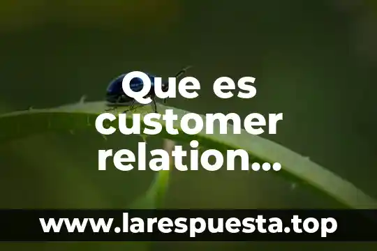 Que es customer relation marketing