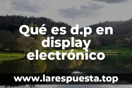 Que es el display de una computadora portatil 5 Qué es d.p en display electrónico