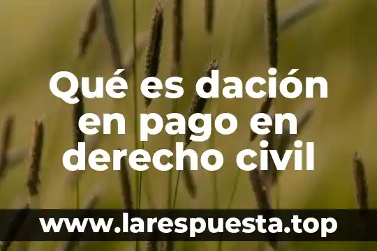 Qué es dación en pago en derecho civil
