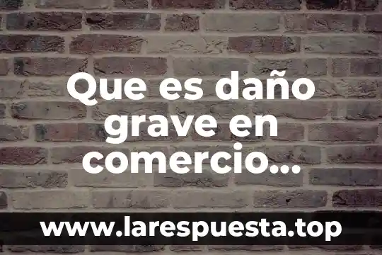 Que es cc en comercio exterior 8 Que es daño grave en comercio exterior