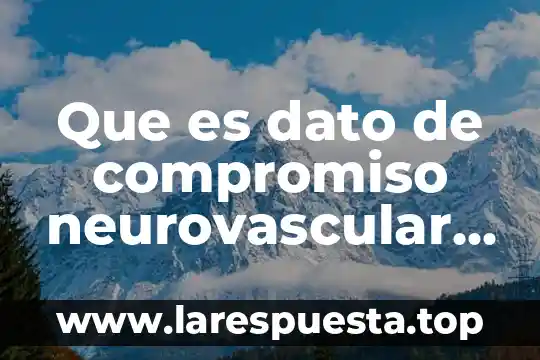 Carta compromiso de un auditor que es 8 Que es dato de compromiso neurovascular distaa
