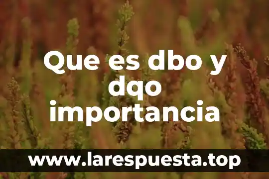Que es la importancia teórica 5 Que es dbo y dqo importancia