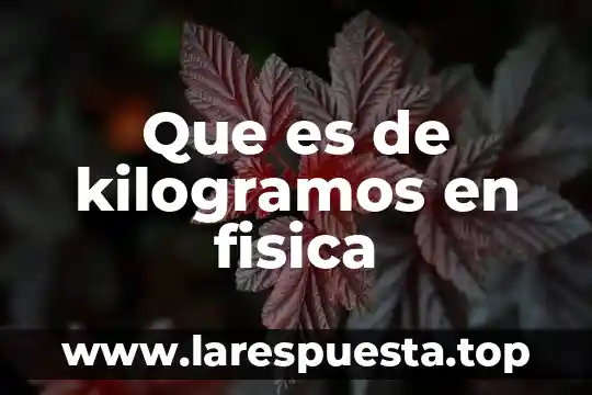 Qué es equipo educación física 3 Que es de kilogramos en fisica