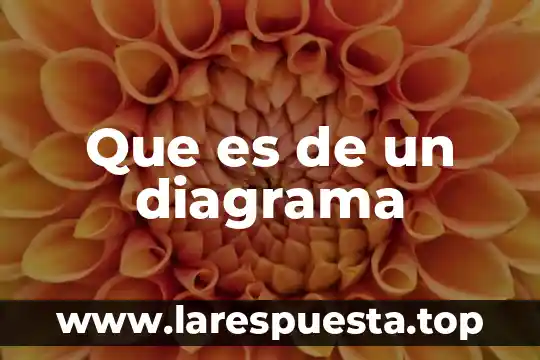 Que es de un diagrama