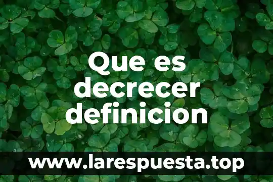 Que es decrecer definicion