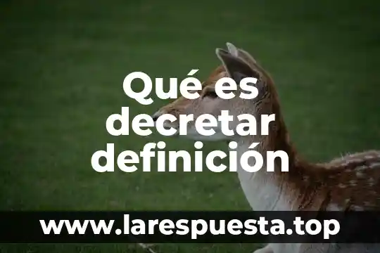 Qué es decretar definición