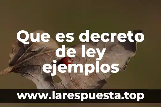 Que es decreto de ley ejemplos