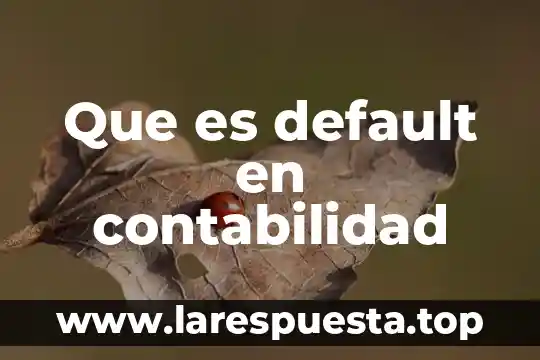 Que es default en contabilidad
