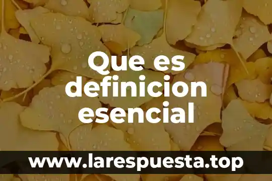 Que es definicion esencial