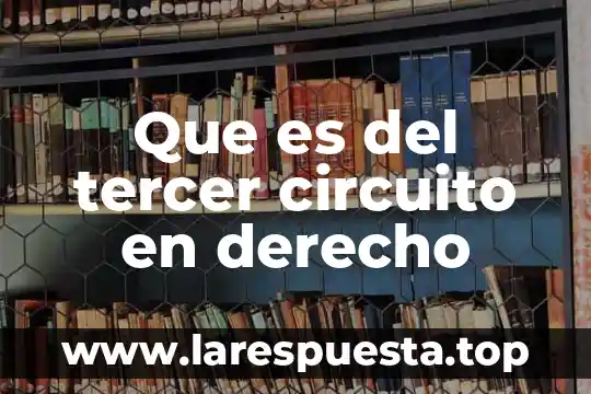Que es del tercer circuito en derecho