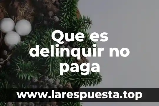 Que es delinquir no paga