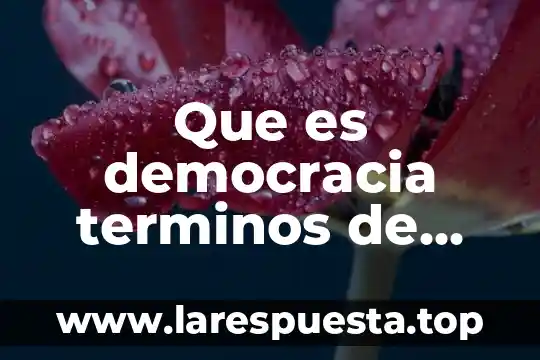 Que es democracia terminos de etica