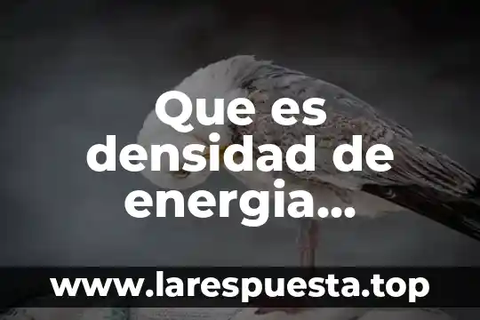 Que es densidad de energia magnética