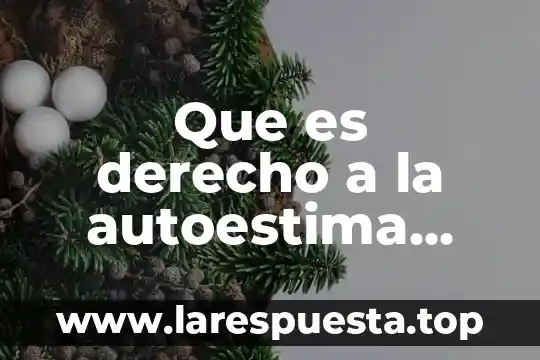 Para que es el derecho internacional 6 Que es derecho a la autoestima personal