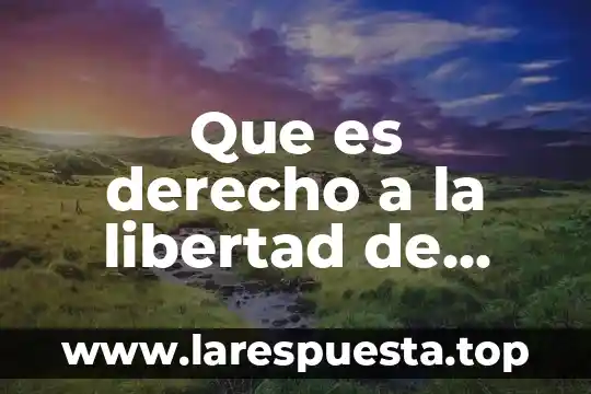Que es derecho a la libertad de manifestación