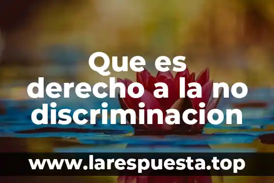 Que es la discriminacion y sus tipos 8 Que es derecho a la no discriminacion