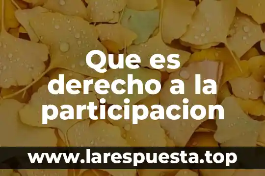 Que es derecho a la participacion
