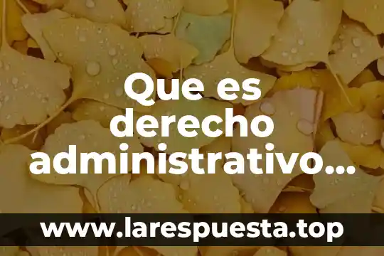Que es tipo ii bi-rads 3 Que es derecho administrativo ii