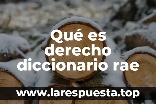 Qué es derecho diccionario rae